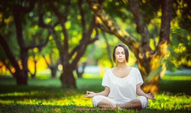 足球直播-火箭队比赛录像视频大全：精选高光与全场重播